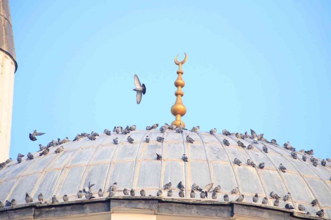 Türkiye’nin İlk Asansörlü Camisi Güvercinleri Ağırladı