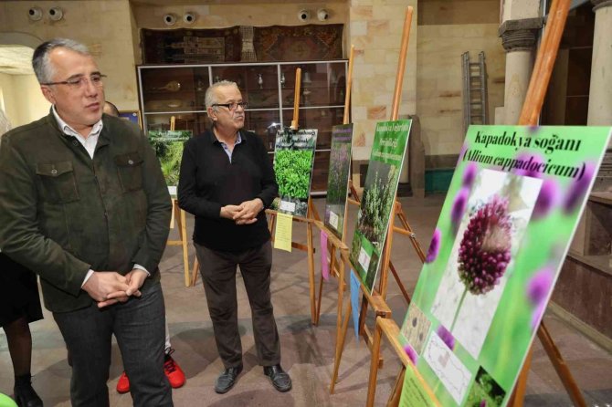 ‘Kapadokya Bitkileri’ Sergisi Açıldı
