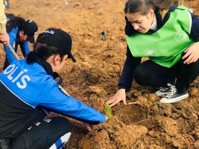 Milli Ağaçlandırma Günü’nde Öğrenciler Fidanları Toprakla Buluşturdu
