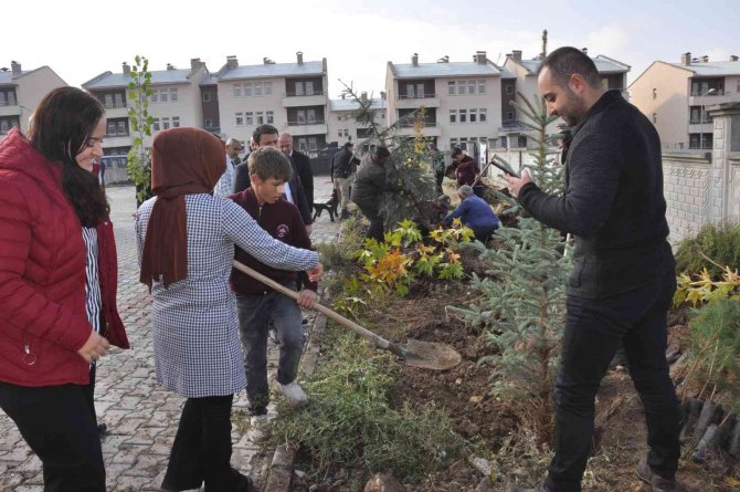 Bulanık’ta, Fidanlar Toprakla Buluştu