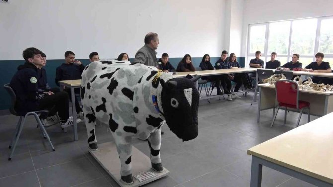 Konuşan Maket At Ve Sığır İle Hem Eğleniyorlar Hem Öğreniyorlar