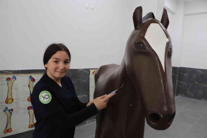 Konuşan Maket At Ve Sığır İle Hem Eğleniyorlar Hem Öğreniyorlar