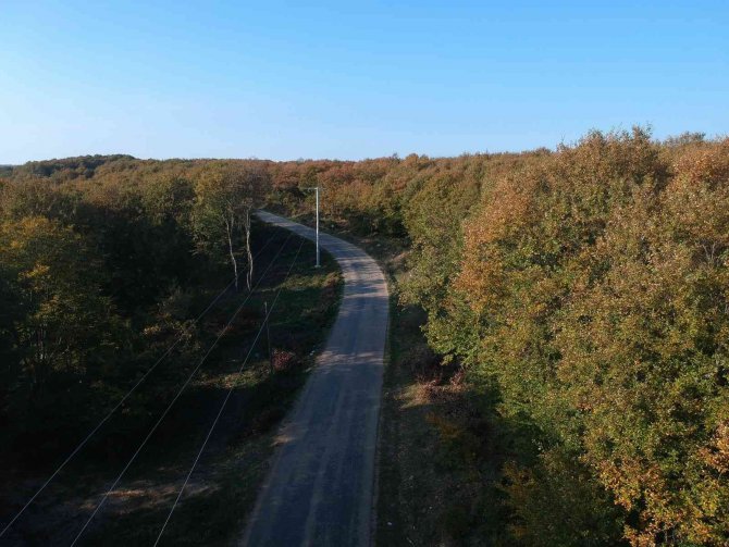 Sinop’ta Eşsiz Sonbahar Güzelliği