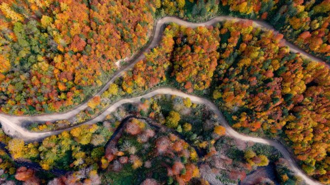 Sonbaharın Tüm Renklerini Yansıtan Yenice Ormanlarında Kartpostallık Görüntüler