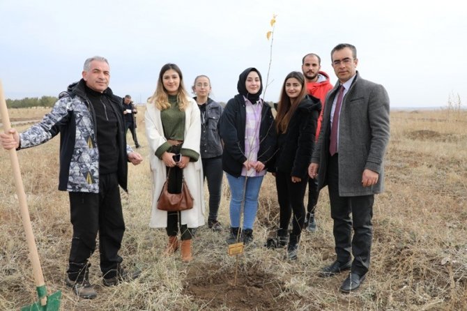 Ağrı’da 41 Maden Şehidi Anısına Fidan Dikildi