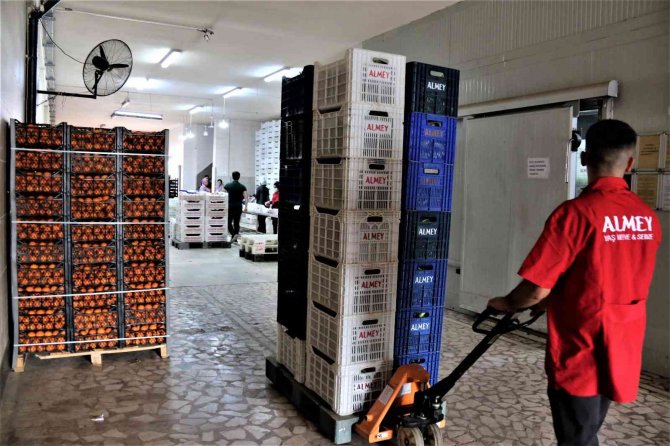 Batı Akdeniz’den 2 Milyar 200 Milyon Dolarlık İhracat