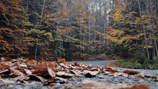 Yedigöller’de Sonbahar Kartpostallık Görüntüler Oluşturdu