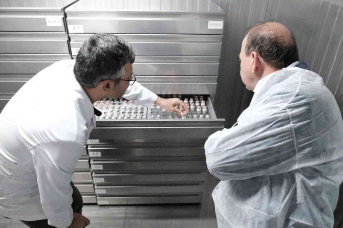 Matlı: "Markalaşmış Bir Gıda Kenti Oluşturma Gayretindeyiz"