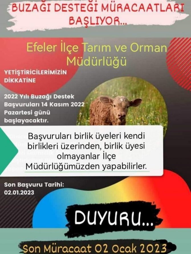 Efeler İ̇lçe Tarım Ve Orman Müdürlüğü’nden ’Buzağı Desteklemesi’ Uyarısı