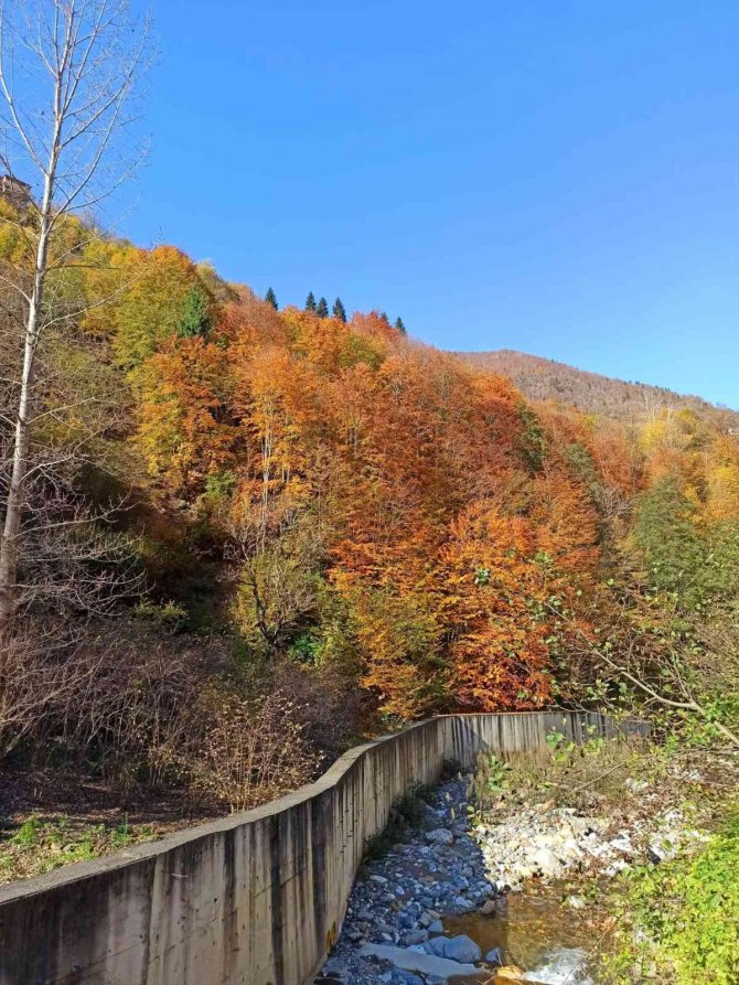 Giresun Yaylalarında Sonbahar Esintileri