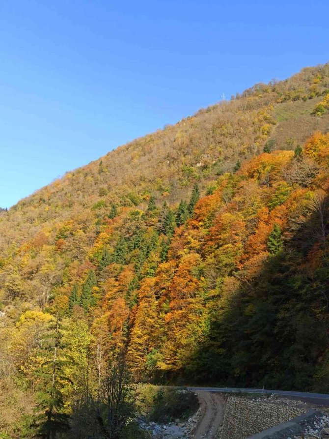 Giresun Yaylalarında Sonbahar Esintileri