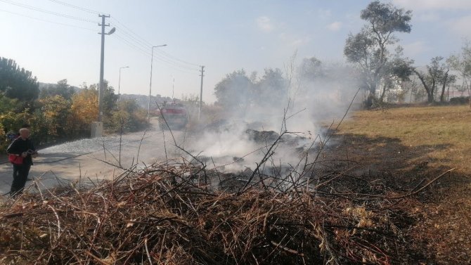 Yangında Zeytin Ağaçları Zarar Gördü