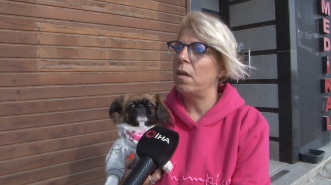 Büyükçekmece’de Pencereden Düşen Köpeği Havada Yakaladı