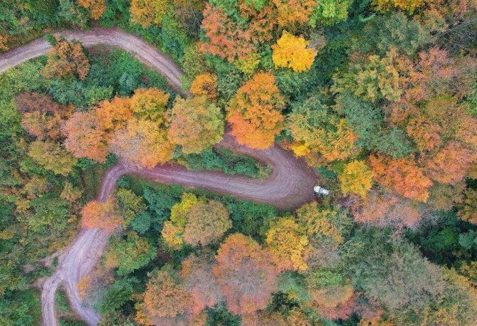Sonbahar Renkleri Trabzon’u Kartpostallardaki Görüntülere Çevirdi