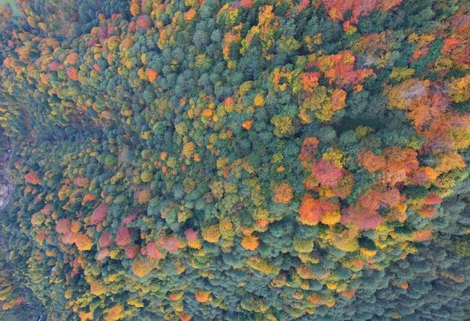 Sonbahar Renkleri Trabzon’u Kartpostallardaki Görüntülere Çevirdi