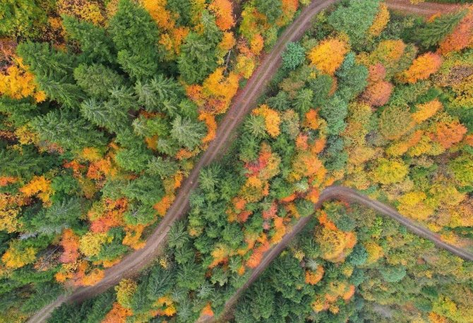 Sonbahar Renkleri Trabzon’u Kartpostallardaki Görüntülere Çevirdi
