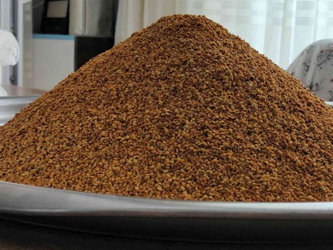 Tunceli’nin Nazımiye İlçesinden Kanada’ya Organik Bal