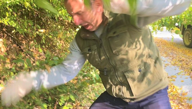 Yaralı Yırtıcı Kuş, Kendisini Kurtarmak İsteyen Görevliyi Yaraladı