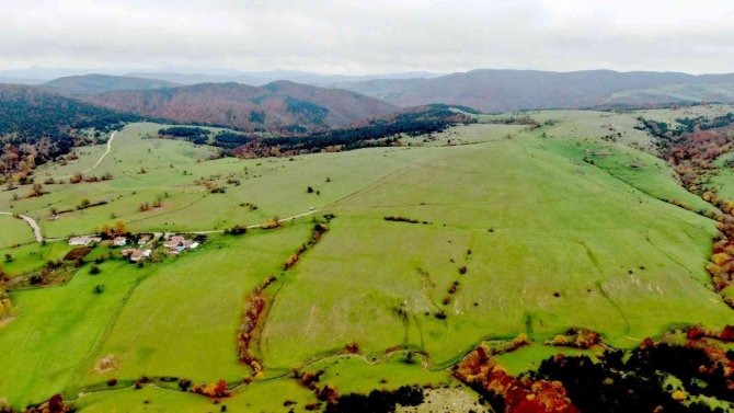 Büyükşehir Ges’te İlk Adım Atıldı: Yıllık 350 Milyon Tl’lik Elektrik Gideri Güneşten Karşılanacak