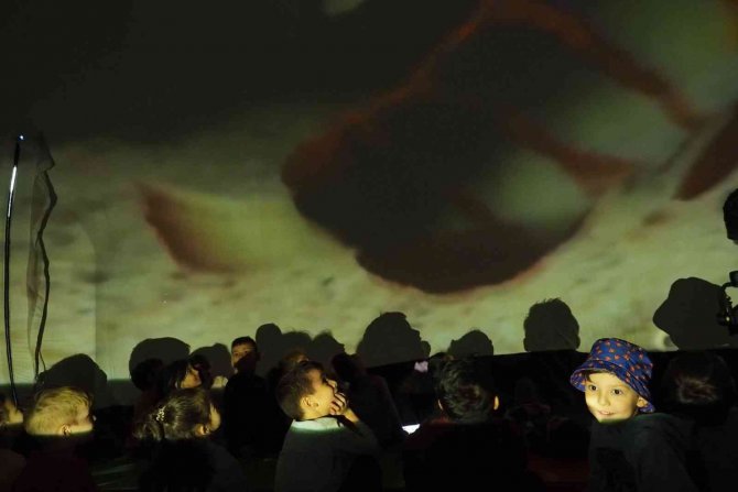 Anaokulu Çocukları Ve Aileleri Bilim Şenliği’nde Buluştu