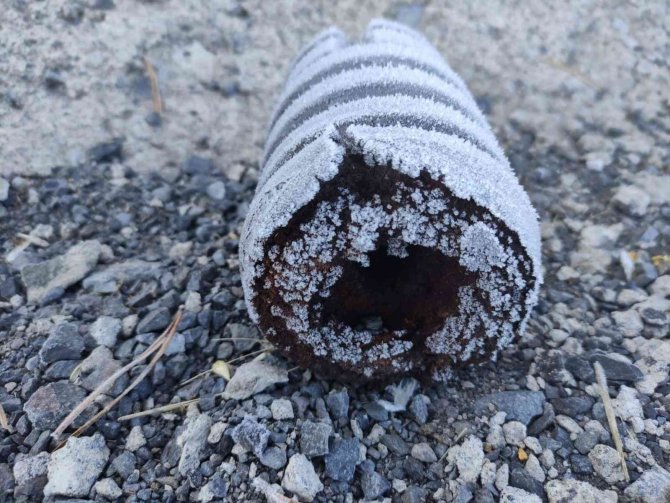 Ardahan’da Bitki Ve Ağaçlar Kırağı Tuttu