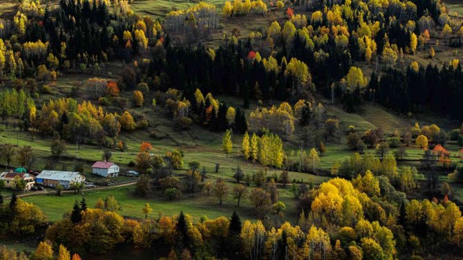 ’Sakin Şehir’ Şavşat’tan Sonbahar Manzaraları