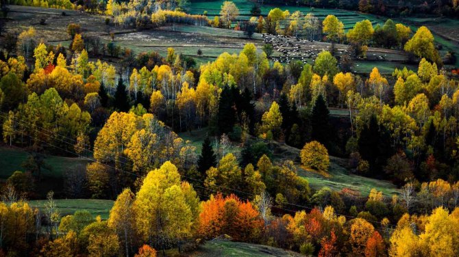 ’Sakin Şehir’ Şavşat’tan Sonbahar Manzaraları