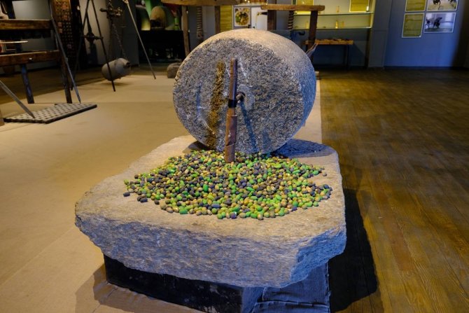 Başkan Mesut Ergin’den Ara Tatilde Öğrencilere Etkinlik Daveti