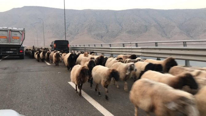 Göçerlerin Yayladan Dönüş Yolculuğu Başladı