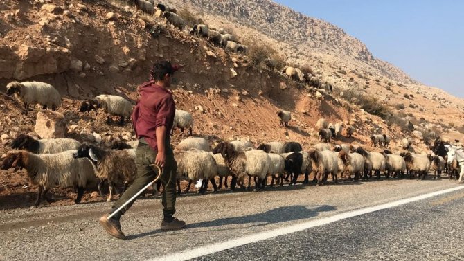 Göçerlerin Yayladan Dönüş Yolculuğu Başladı