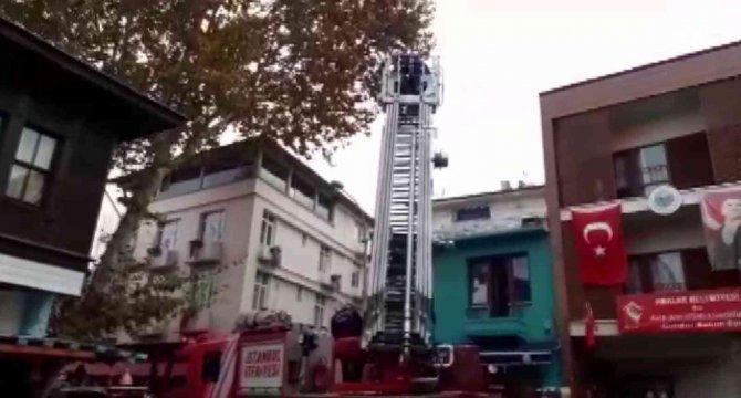 Büyükada’da, Ağaçta Dallar Arasında Sıkışarak Mahsur Kalan Martı Kurtarıldı