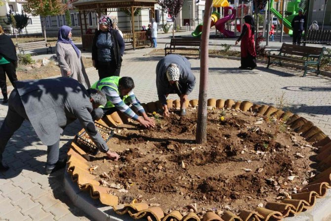 Akseki’de De Lale Soğanı Üretilecek