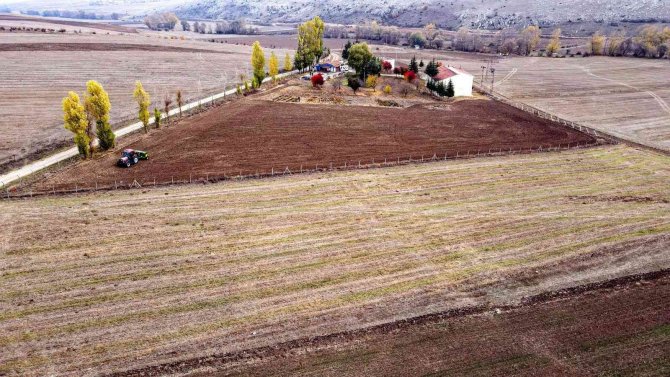 Buğday Eken Belediye İhtiyaç Sahiplerine Un Dağıtacak