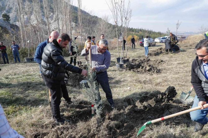 Belediyeden Ağaçlandırma Etkinliği