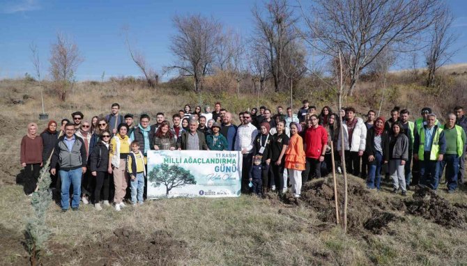 Belediyeden Ağaçlandırma Etkinliği