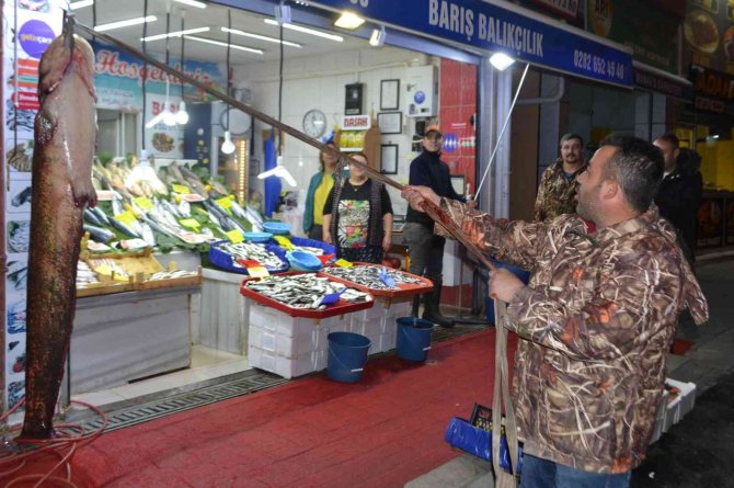 2 Metreye Yakın Dev Balık Görenleri Şaşkına Çevirdi