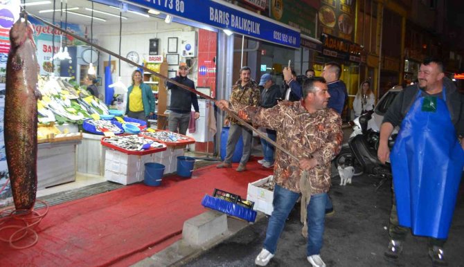 2 Metreye Yakın Dev Balık Görenleri Şaşkına Çevirdi