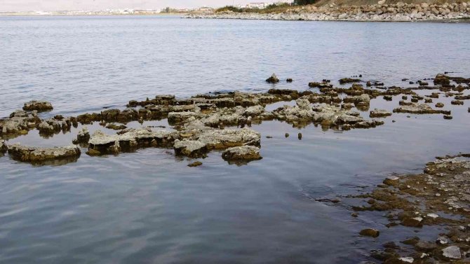 Sular Çekilince Van Gölü’ndeki Mikrobiyalitler Ortaya Çıktı