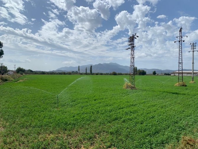 Germencik Belediyesi’nden Çiftçiye Can Suyu