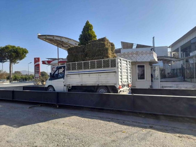 Germencik Belediyesi’nden Çiftçiye Can Suyu