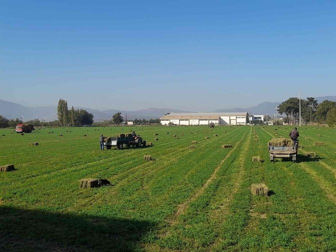 Germencik Belediyesi’nden Çiftçiye Can Suyu