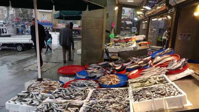Hamsi Tezgahları Şenlendirmeye Başladı
