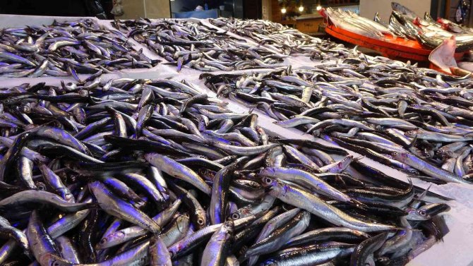 Hamsi Tezgahları Şenlendirmeye Başladı