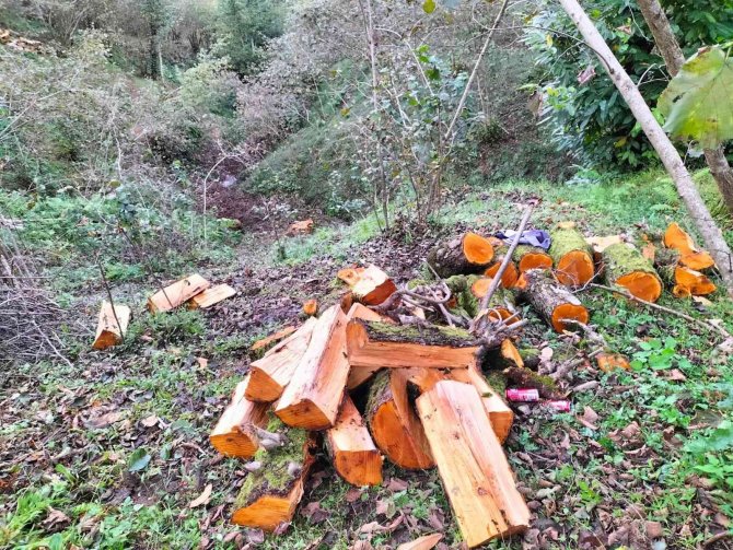 Köylerde Odun Kırma Zamanı