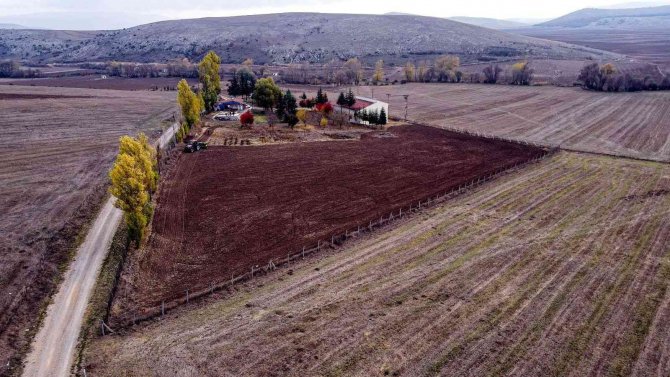 Buğday Eken Belediye İhtiyaç Sahiplerine Un Dağıtacak