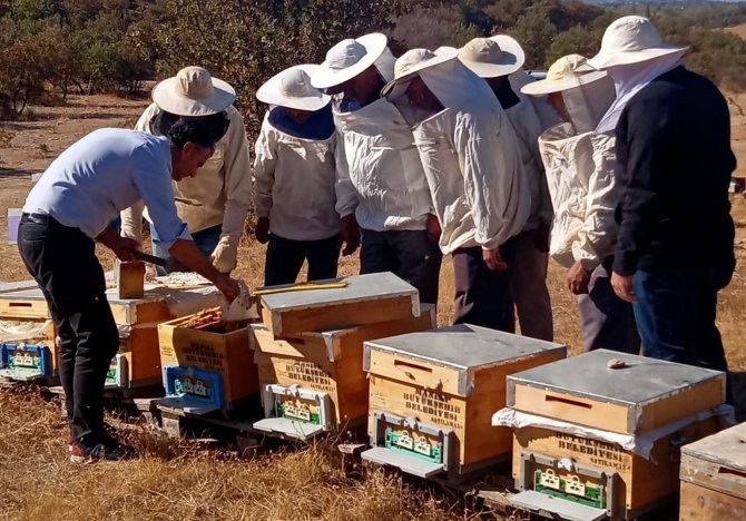 Büyükşehir’den Arıcılara Kışlatma Eğitimi