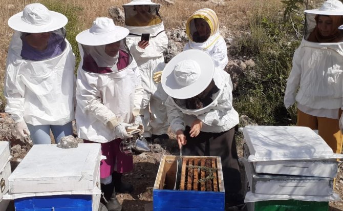 Büyükşehir’den Arıcılara Kışlatma Eğitimi