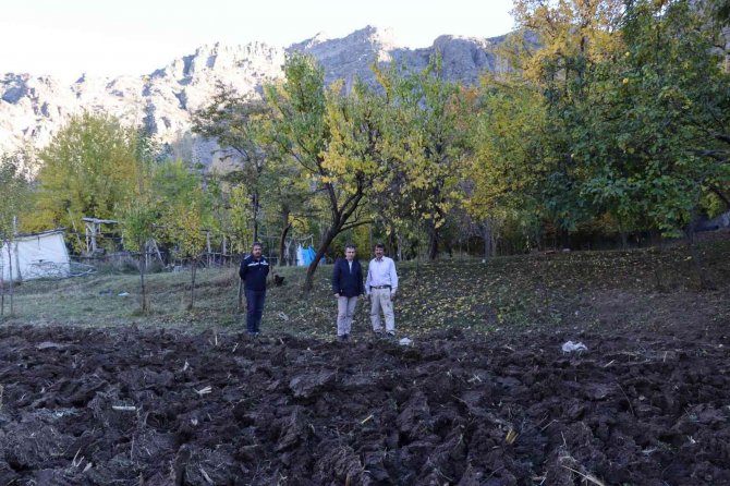 Karnavas Pekmezine Fidan Desteği