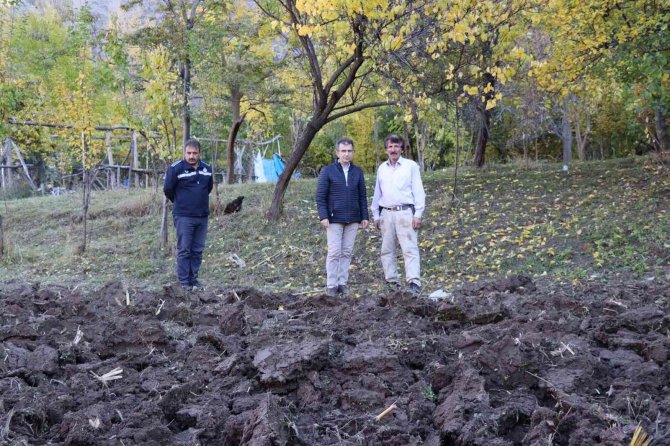 Karnavas Pekmezine Fidan Desteği