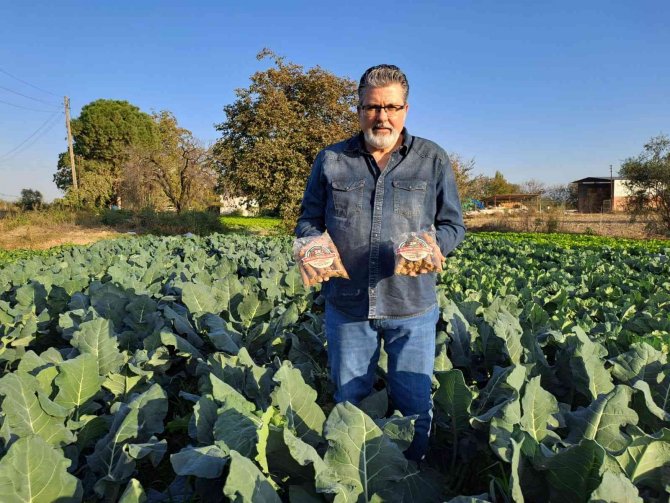 Lahana Ve Marul Yaprakları İnovasyon İle Sokak Hayvanlarına Yem Olacak